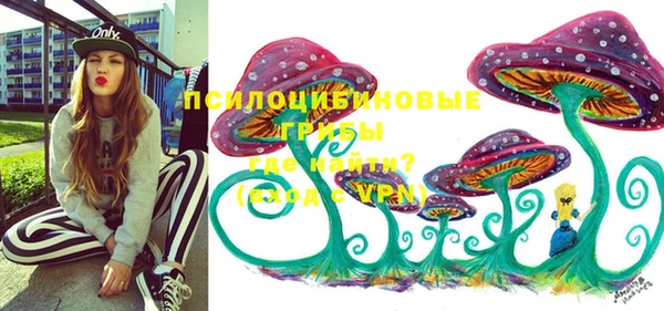 apvp Беломорск